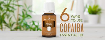 6 Copaiba Oil Uses & Benefits | Young Living Blog