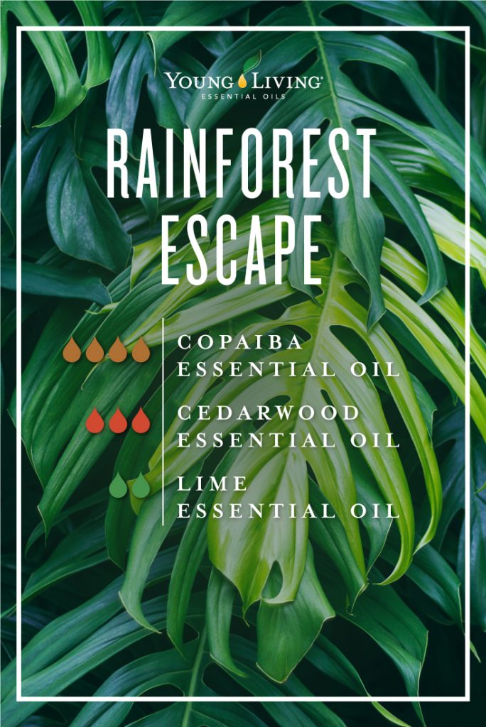 Rainforest escape essential oil diffuser blend infographic