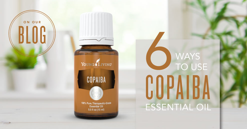 Copaiba Essential Oil Uses & Benefits | Young Living Blog