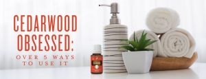 How to use cedarwood essential oil | Young Living