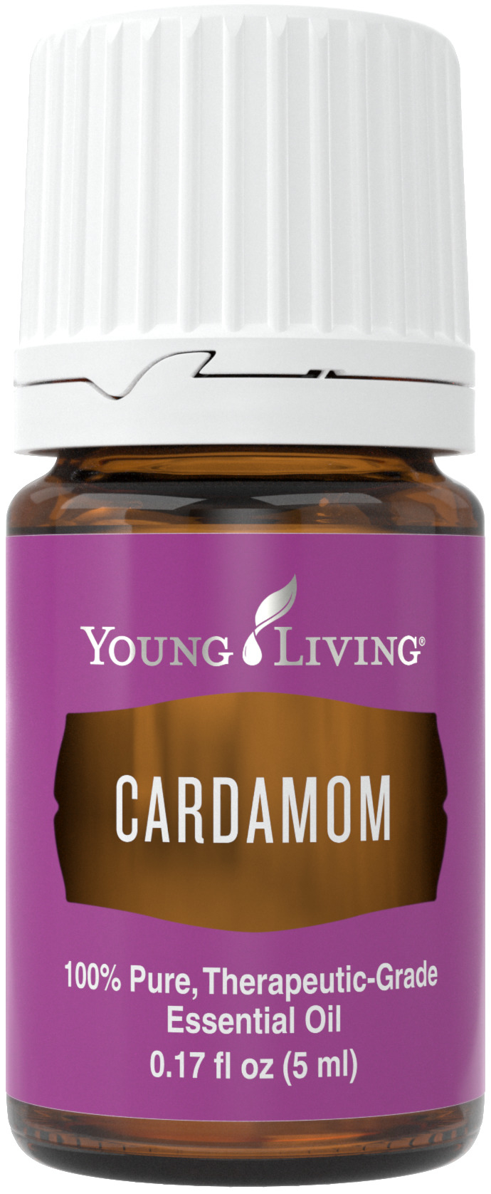 Cardamom essential oil