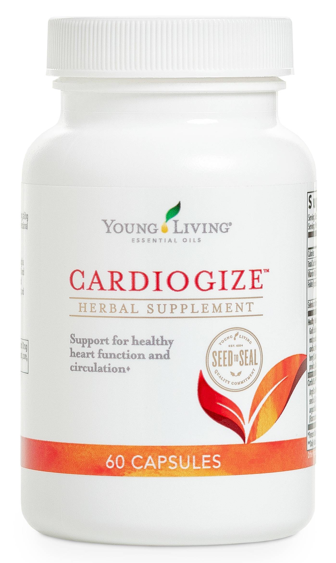 Cardiogize