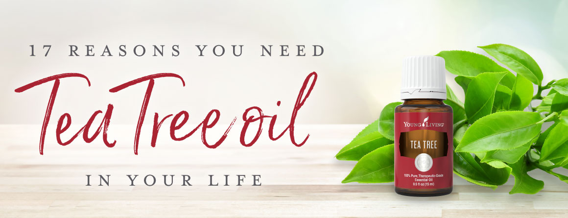 14 conseils pour utiliser l'huile Tea Tree dans votre vie- Blog Young Living