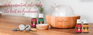 Why essential oils make the best air fresheners