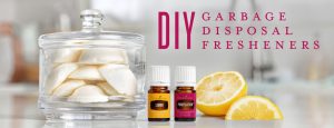 DIY Garbage disposal fresheners