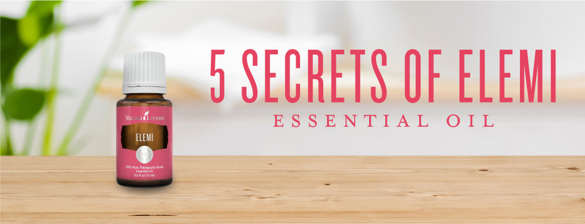 5 secrets of Elemi essential oil