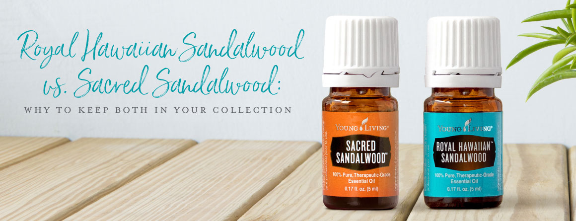 Heavenly Royal Hawaiian Sandalwood Essential Oil - Essential Oil Wizardry