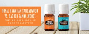 Royal Hawaiian Sandalwood vs. Sacred Sandalwood: Why to keep both in your collection