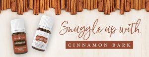 Snuggle up with Cinnamon Bark