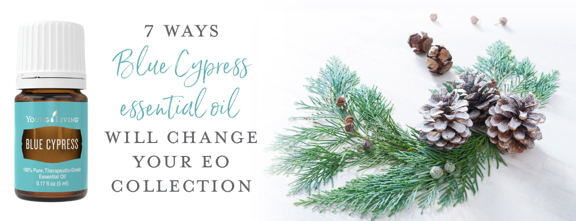 7 ways Blue Cypress essential oil will change your EO collection