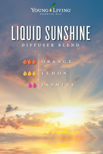 Liquid Sunshine diffuser blend