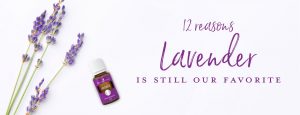 12 reasons Lavender is still our favorite
