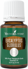 Eucalyptus Globulus essential oil