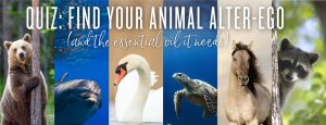 Quiz: Find your animal alter-ego (and the essential oil it needs)