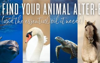 Quiz: Find your animal alter-ego (and the essential oil it needs)