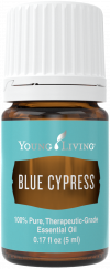 Blue Cypress essential oil