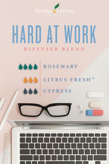 Hard at work diffuser blend