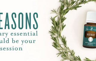 15 reasons Rosemary essential oil should be your new obsession