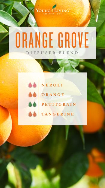Orange grove diffuser blend