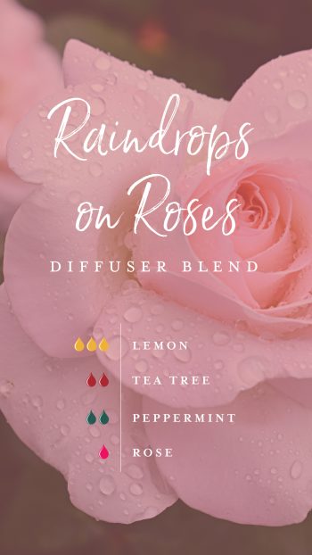 Raindrops on Roses diffuser blend