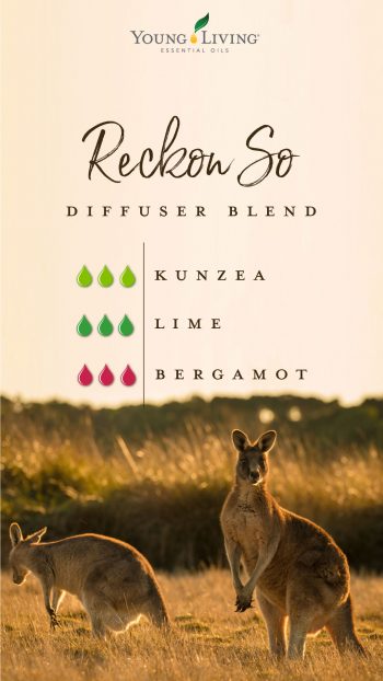 kunzea diffuser blend