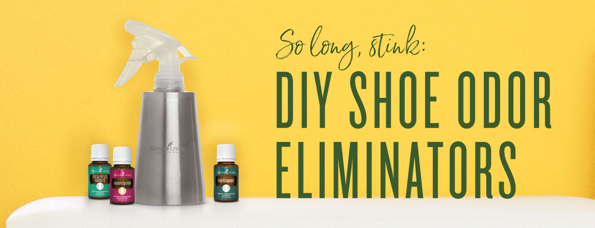 Diy Shoe Odor Eliminator Powder And