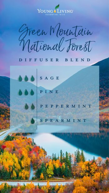 Green mountain national forest diffuser blend