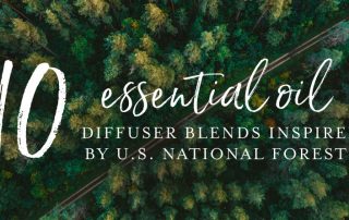10 essential oil diffuser blends inspired by U.S. National Forests