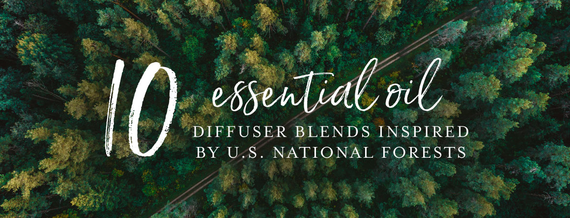 10 essential oil diffuser blends inspired by U.S. National Forests