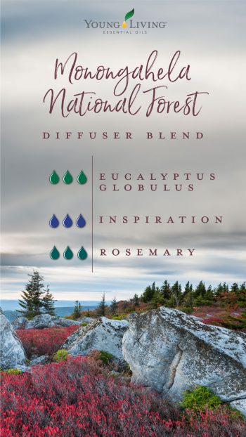 Monongahela National Forest diffuser blend