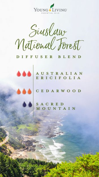 Siuslaw National Forest diffuser blend