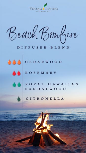 beach bonfire diffuser blend