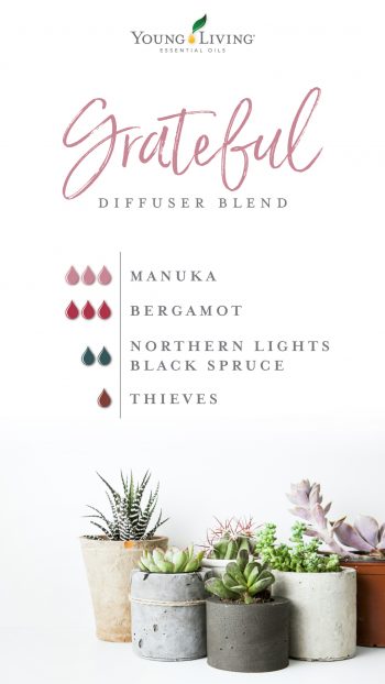 Manuka diffuser blend 3 drops Manuka, 3 drops Bergamot, 2 drops Northern Lights Black Spruce, 1 drop Thieves 