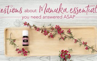 4 questions about Manuka essential oil you need answered ASAP