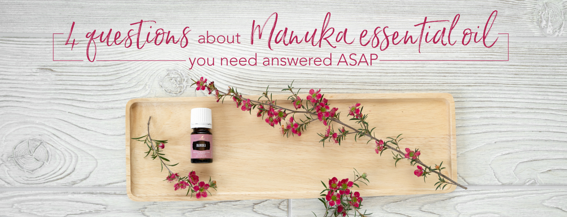 4 questions about Manuka essential oil you need answered ASAP