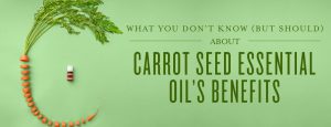 What you don’t know (but should) about Carrot Seed essential oil’s benefits
