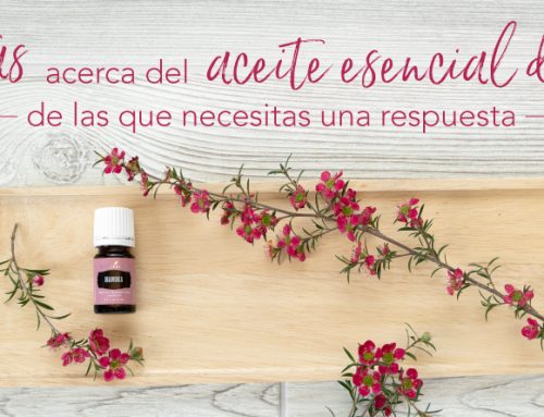 4 preguntas sobre el aceite esencial de Manuka