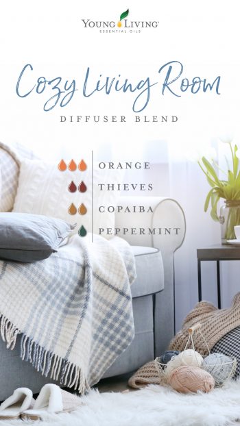 cozy living room diffuser blend