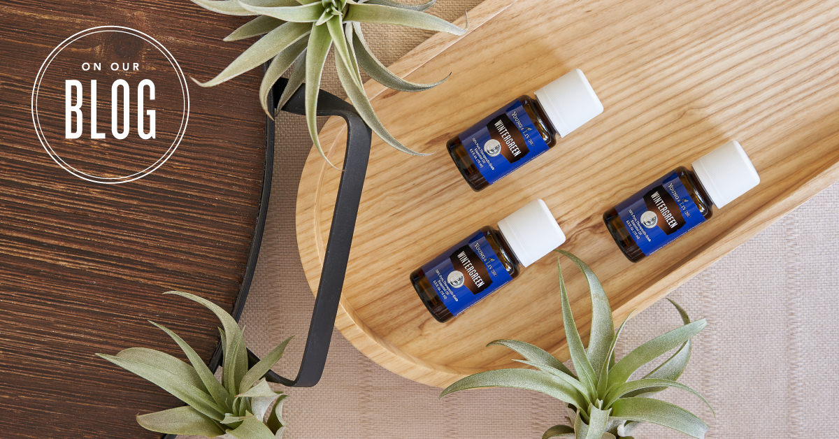 Wintergreen Essential Oil Uses | Young Living Blog