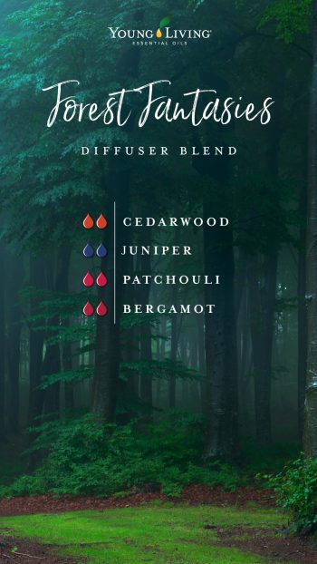 Forest fantasies diffuser blend 