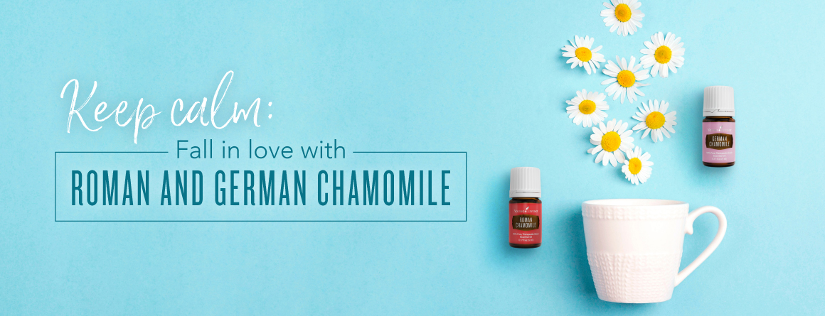 Keep calm: Fall in love with Roman and German Chamomile