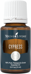 cypress essential oil 
