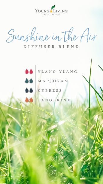 sunshine in the air diffuser blend 