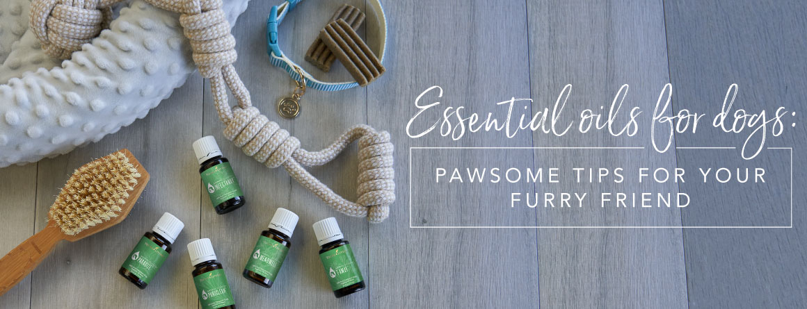 Essential oils for dogs: Pawsome tips for your furry friend