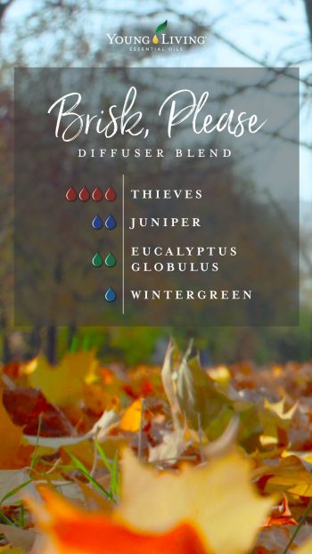 Fall Diffuser Blend Recipe  Fall essential oil blends, Fragrance oil  blends, Essential oil candles