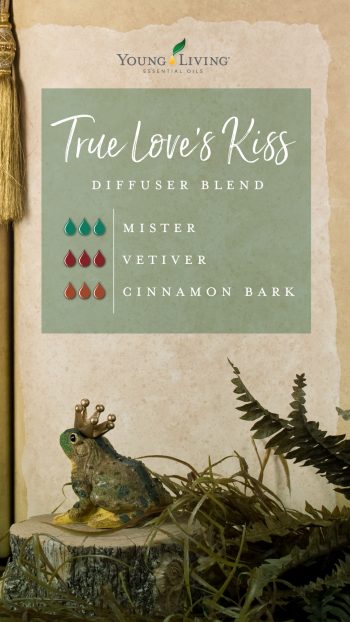 true love's kiss diffuser blend recipe with essential oils: 3 drops Mister, 3 drops vetiver, 3 drops cinnamon bark 