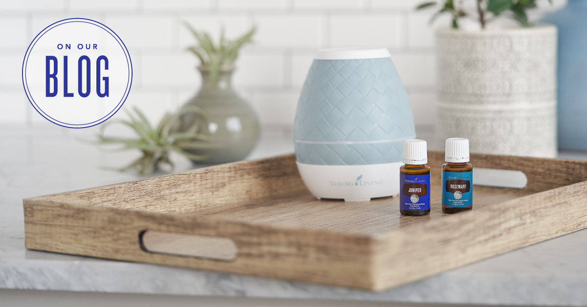 Diffuser blends for everyone you know Young Living Blog
