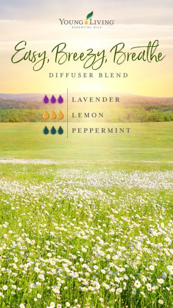 3 drops Lavender essential oil  3 drops Lemon essential oil  3 drops Peppermint essential oil 