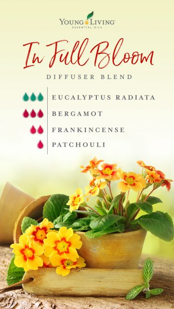 3 drops Eucalyptus Radiata essential oil  3 drops Bergamot essential oil  2 drops Frankincense essential oil  1 drop Patchouli essential oil 