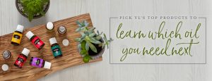 bottles of essential oil on a wooden board with plants